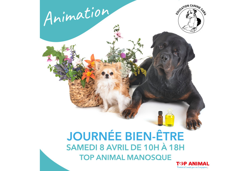 CONSEILS BIEN-ETRE AVEC UNE NATUROPATHE CANINE